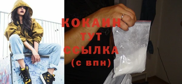 ГАЛЛЮЦИНОГЕННЫЕ ГРИБЫ Гусев