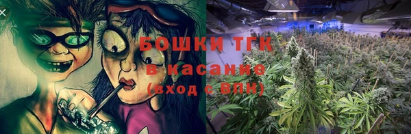 ГАЛЛЮЦИНОГЕННЫЕ ГРИБЫ Гусев