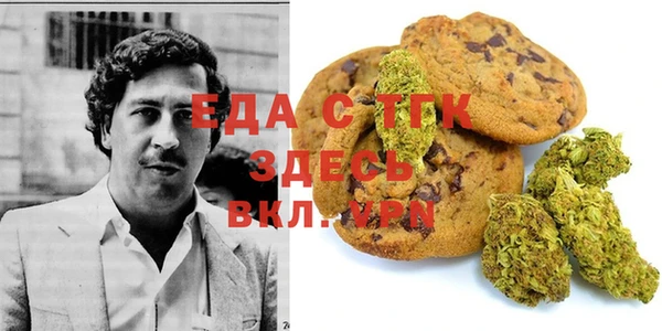 ГАЛЛЮЦИНОГЕННЫЕ ГРИБЫ Гусев