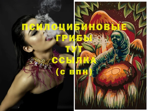 соль ск Горно-Алтайск