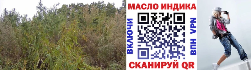 ТГК жижа сайты даркнета как зайти Назрань где найти наркотики