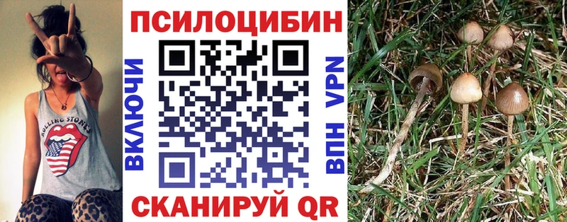 гидра онион  Назрань  мориарти официальный сайт  закладка  Галлюциногенные грибы Psilocybine cubensis 