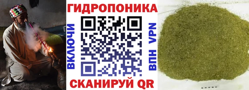 Конопля гибрид это состав Назрань наркота